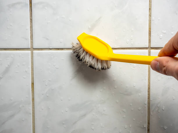 Best Residential Mold Removal  in West Middlesex, PA