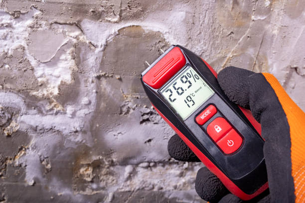 Best Emergency Mold Removal  in West Middlesex, PA