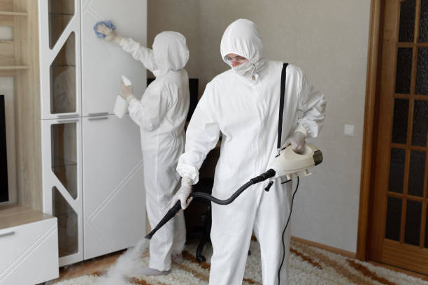 Professional Mold Removal in West Middlesex, PA